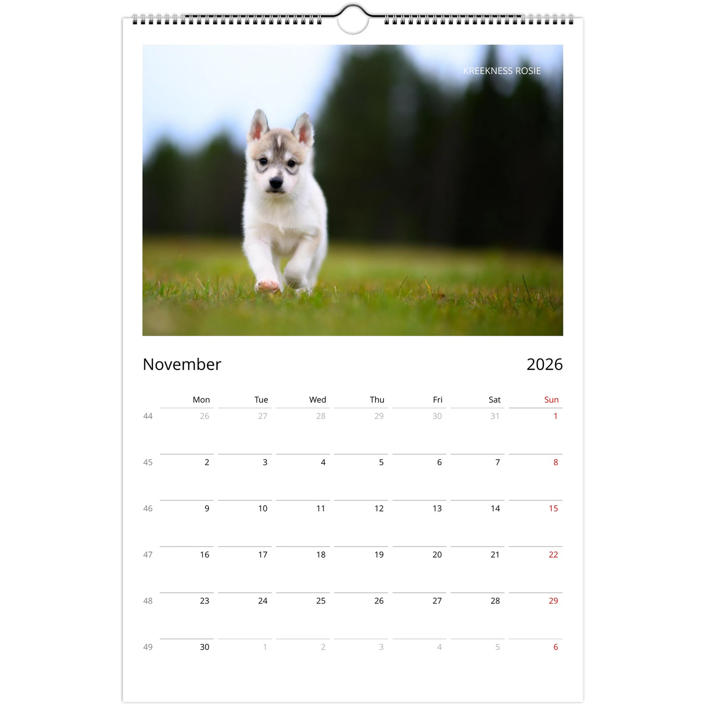 268aaac3-7933-4d3c-ae60-3ac86351e5a6