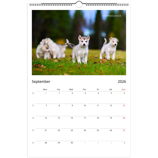 3afe783c-4313-42d2-b801-378e447d073d