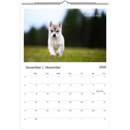 3d2340b9-3629-4446-baed-fafe77a31267