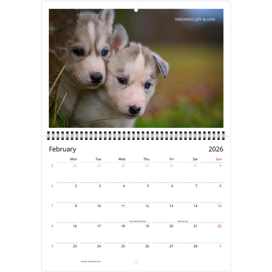 842d42bd-9312-4183-951e-a45560a5d137