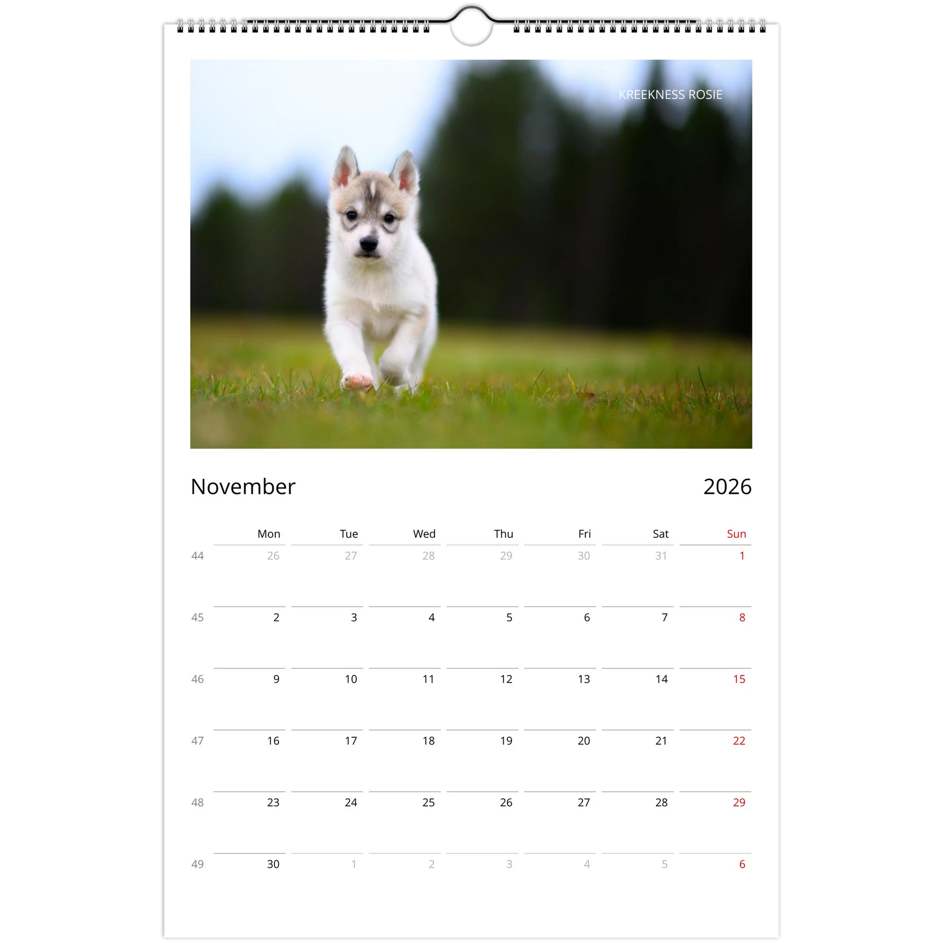 268aaac3-7933-4d3c-ae60-3ac86351e5a6