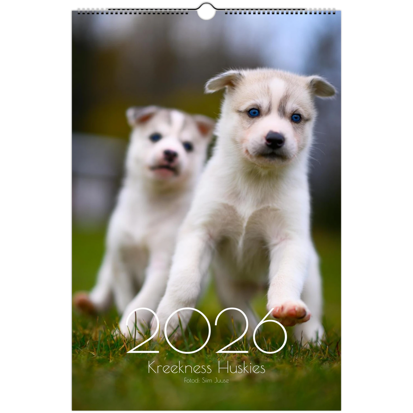 335d00ef-f25d-4aa0-9339-2e525aa44615