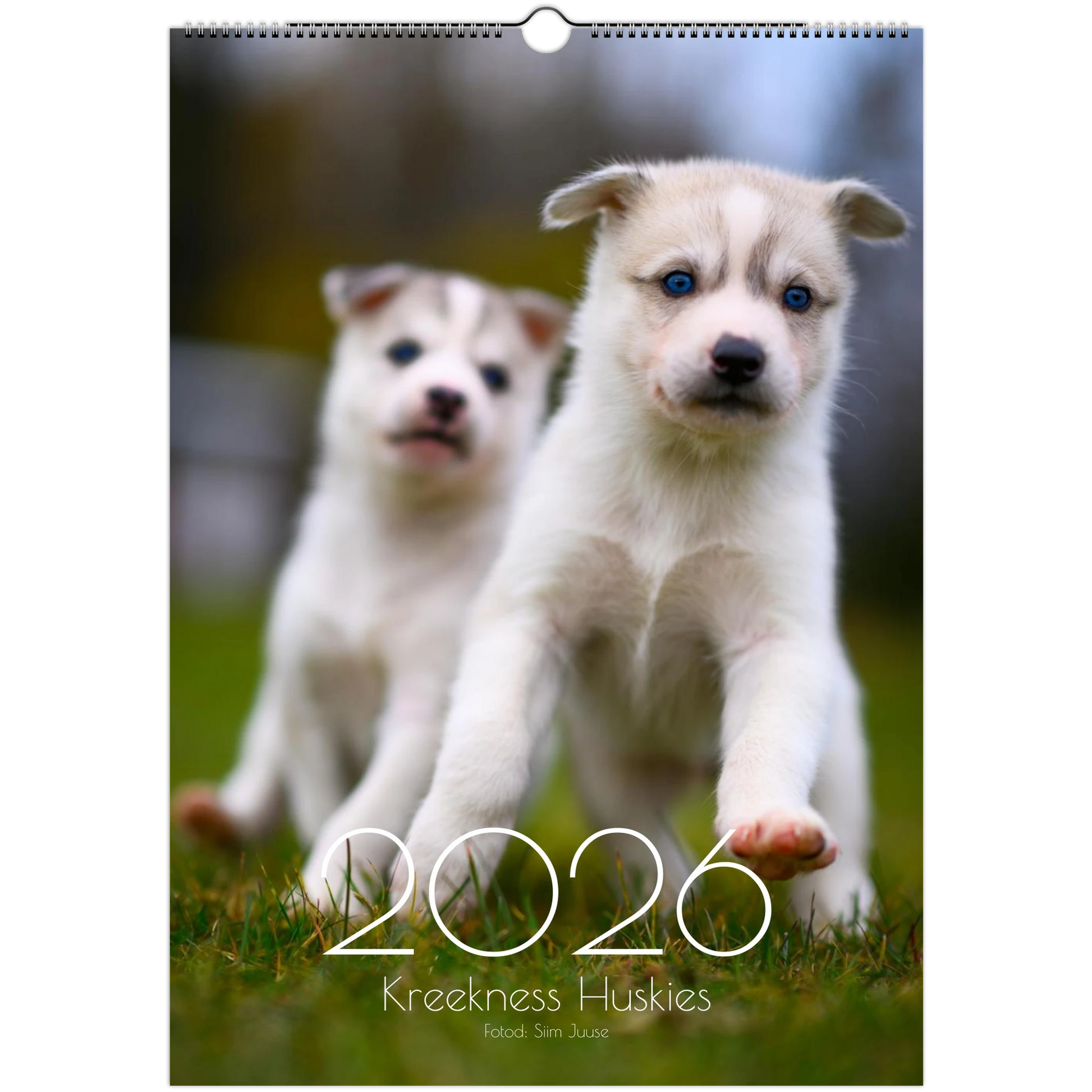 3951b063-1ef6-4c43-b6de-44d2db23e5b9