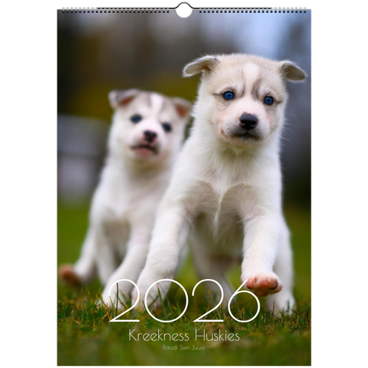 3951b063-1ef6-4c43-b6de-44d2db23e5b9