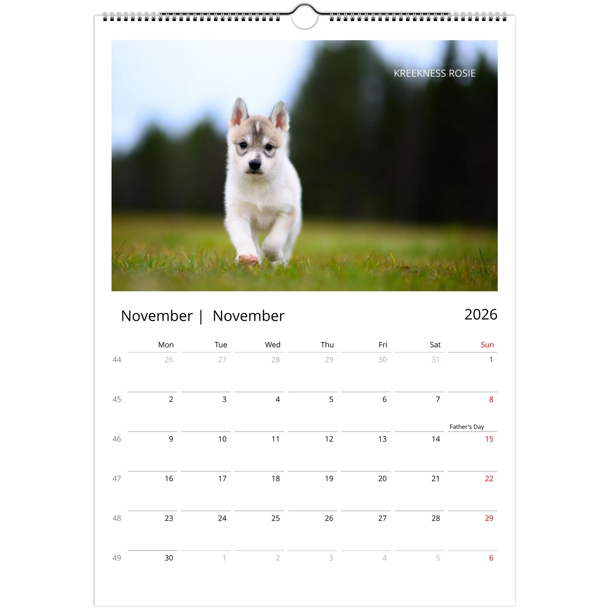 3d2340b9-3629-4446-baed-fafe77a31267