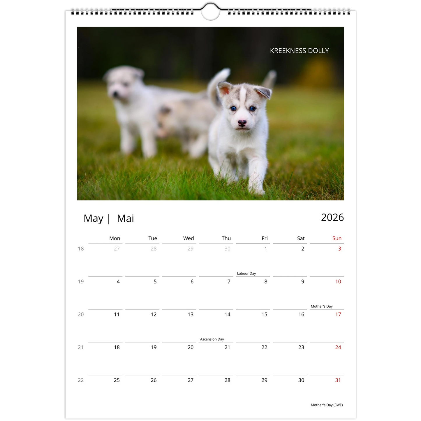 5170fa8d-c239-4299-bed9-fdf02eea6496