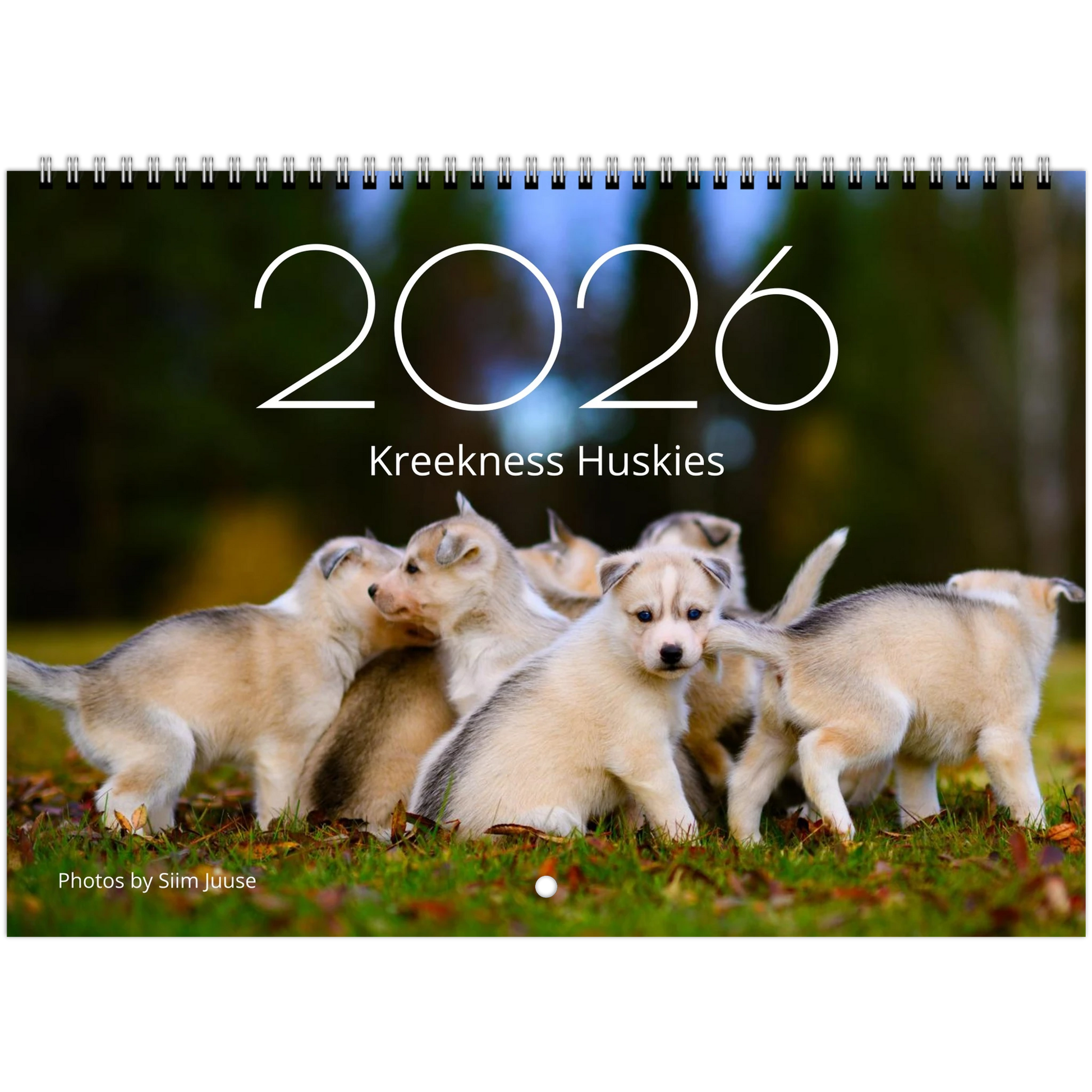 6e009f50-210a-46fd-9cd3-b9e56af93005