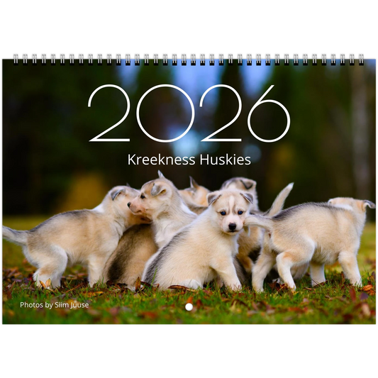 6e009f50-210a-46fd-9cd3-b9e56af93005