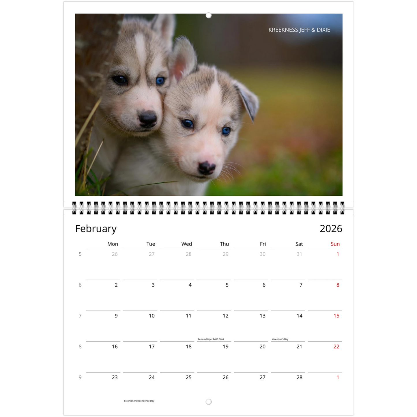 842d42bd-9312-4183-951e-a45560a5d137