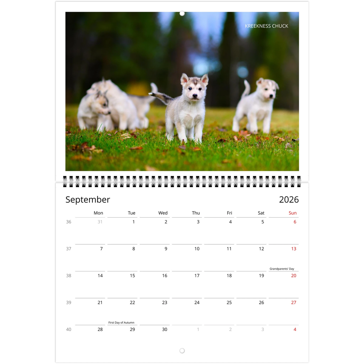 8546ad54-871c-42d8-bdcb-b39e46f3818b