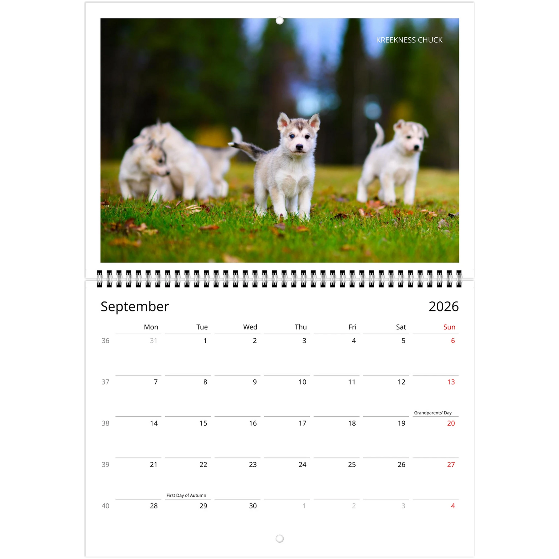 8546ad54-871c-42d8-bdcb-b39e46f3818b