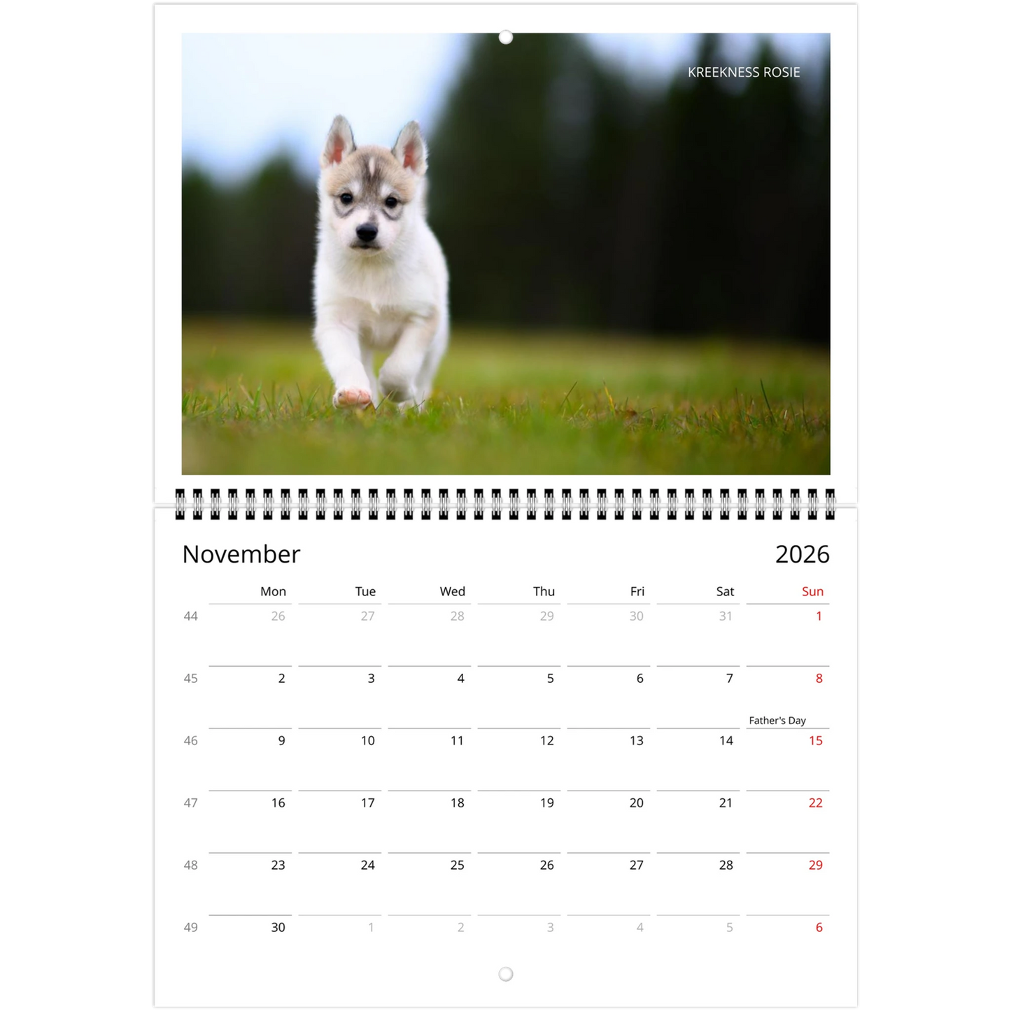 9abad52d-273d-4c40-a60a-64bdc278cd48